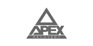 APEX-02-01